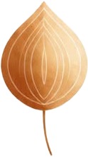 a wooden lotus flower on a white background.jpg